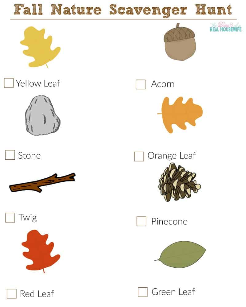 Fall Nature Scavenger Hunt for Toddlers - The Diary of a Real Housewife